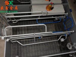 सुअर भौंह का क्रेट हाई क्वालिटी के साथ