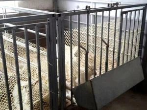 भेड़ का फार्म उपकरण